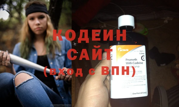 индика Мегион