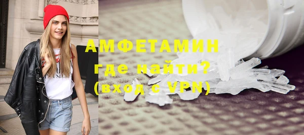 шишки Абаза