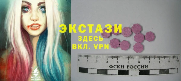 индика Медногорск