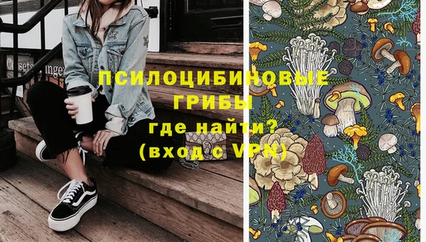 индика Медногорск