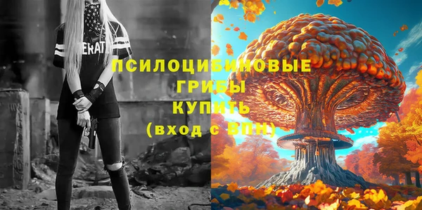 индика Медногорск