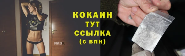 индика Мегион