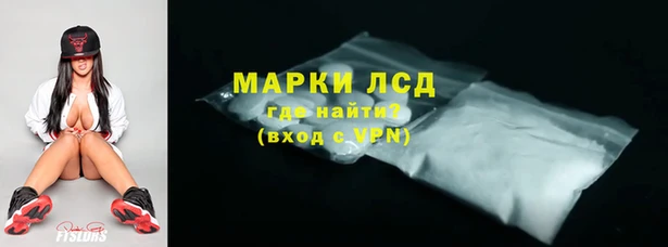 шишки Абаза