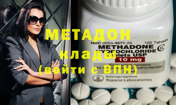 шишки Абаза