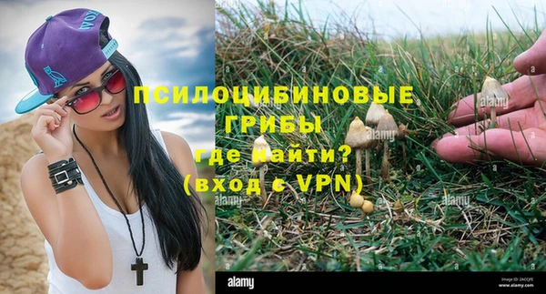 индика Мегион