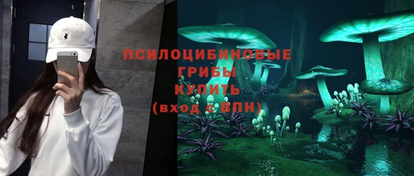 молекула духа Абинск