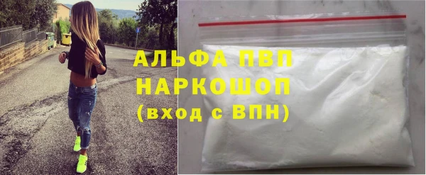 шишки Абаза