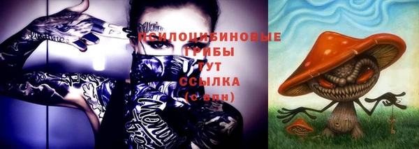 шишки Абаза