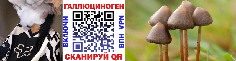 Псилоцибиновые грибы мухоморы  darknet клад  Грозный 