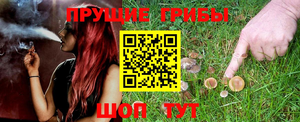 Псилоцибиновые грибы прущие грибы  Галлюциногенные грибы Psilocybine cubensis  Вход с VPN  Грозный 